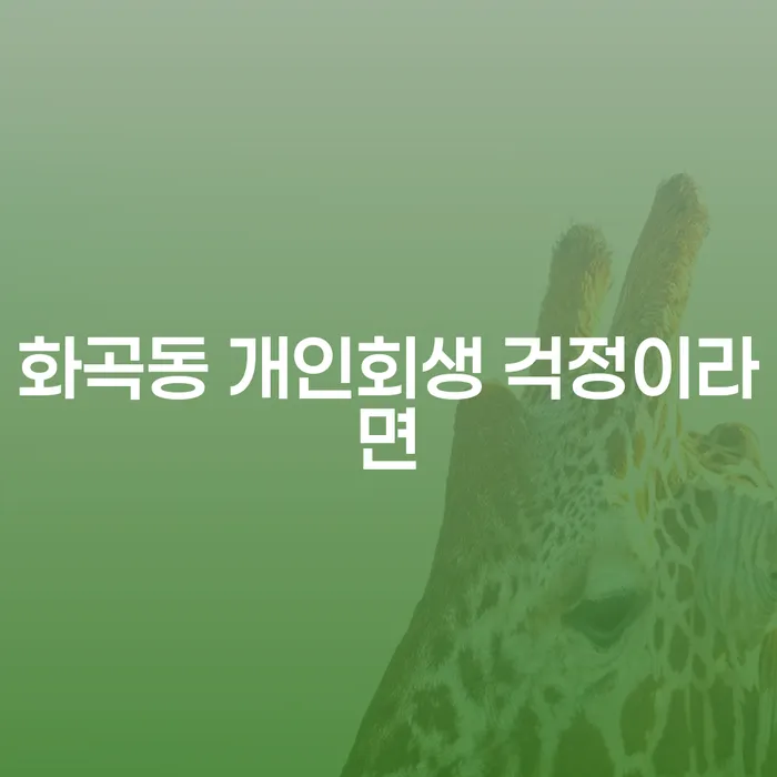 화곡동 개인회생 걱정이라면