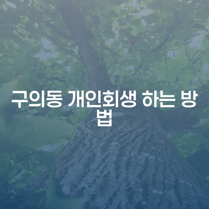 구의동에서 개인회생을 시작하려면 어떻게 해야 할까요?